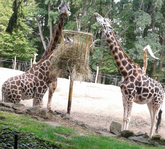 Ponuka pre školy: ZOO Lešná